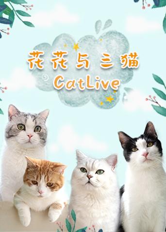 花花与三猫catlive 20190701期