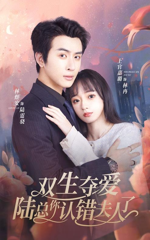 双生夺爱陆总你认错夫人了 第02集