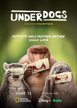 废柴英雄2025(全集)