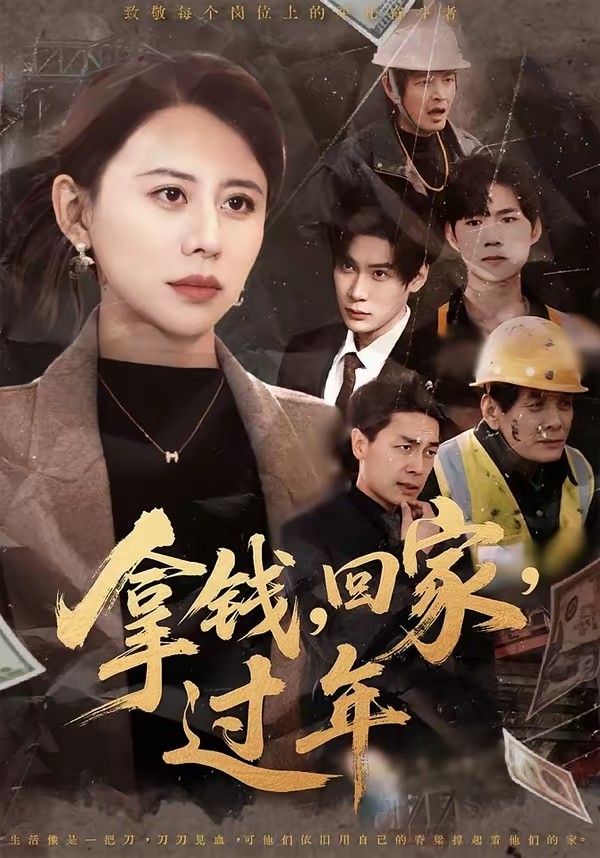 拿钱，回家，过年(全集)